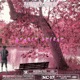 Avenir briser Single