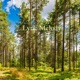 Lyric Melody EP