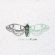 Cuántico EP