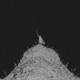 10 000 Foes Single