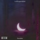 Paradise Single