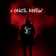 I Once Knew feat Eric Castiglia Aleshit Single