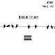 Birds on the Wire Single