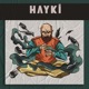 Fareli Köyün Kavalcısı Single