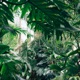Got Any Jungle Mate Short Edit Single