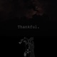 Thankful Single