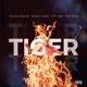 Tiger feat Mauri Corey DTC Vibe DtoneBeatz Single