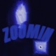 ZOOMIN Single