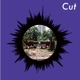 Cut Single