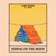 Hiding On the Moon Single