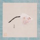 Shirayuki Single