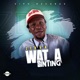 Wat A Sinting Single