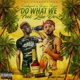 Do What We Feel Like Do Single