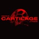 Cartilage Single