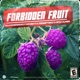 Forbidden Fruit feat Lopez AJ Abiri Single