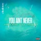 You Ain t Never feat Shoneyin Single