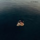 Runaway Single