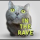In The Rave Single