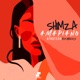Shimza Amapiano Afrotech Remixes Single