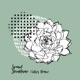Steinblume Incl Ulises Remix EP