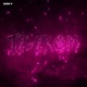 Telekom Single