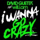 I Wanna Go Crazy feat will i am Single