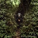 嘘でしょ クマなの ここ六甲だよ feat ke i JJB Single