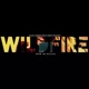 Wildfire Single