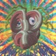 Into the Fly Eye Single