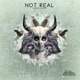 Not Real Single