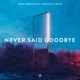 Never Said Goodbye Single