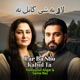 Lar Ba Sho Kabul Ta Single