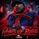 What s Up Rogue Single
