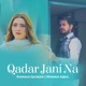 Qadar Jaani Na Single