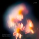 Scent of Flowers Single