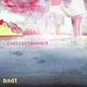 Endless Summer