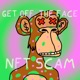 N F T Scam Single