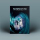 Perspective feat King Roc Single