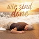 wir sind done Single