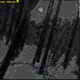 fed silenthill Single