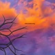 Many Moons Away EP