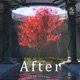 After Single