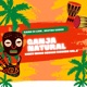Kinky Music Reggae Riddims Vol 2 Ganja Natural Single