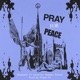 Pray For Peace feat Cardinal Newman School Single