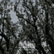 𝗗𝘂𝗺𝗯𝟰𝗬𝗼𝘂 Single