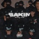 Bakin Single