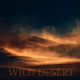 Wild Desert Single