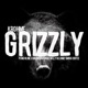 Grizzly feat Punchline Chaundon Torae Willy Gleamz Smigg Dirtee Single