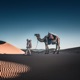 Dunes Single