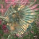 Wings Widespread Single